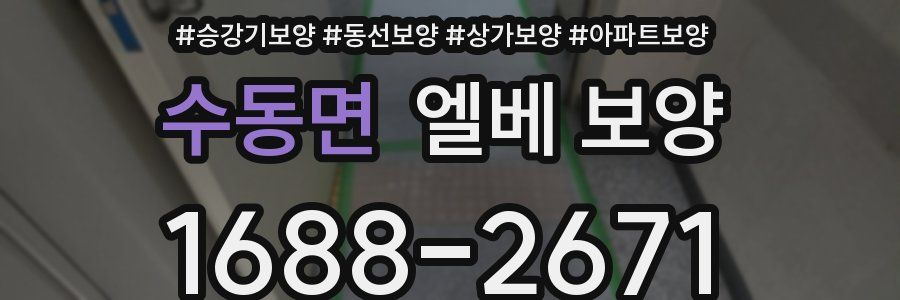 수동면 엘베 보양