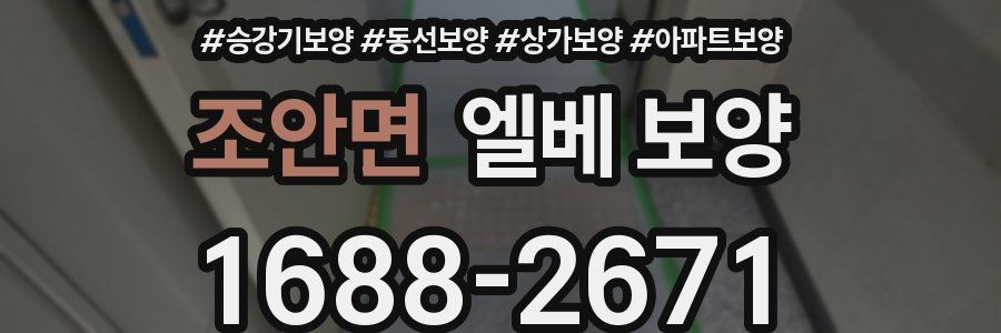 조안면 엘베 보양