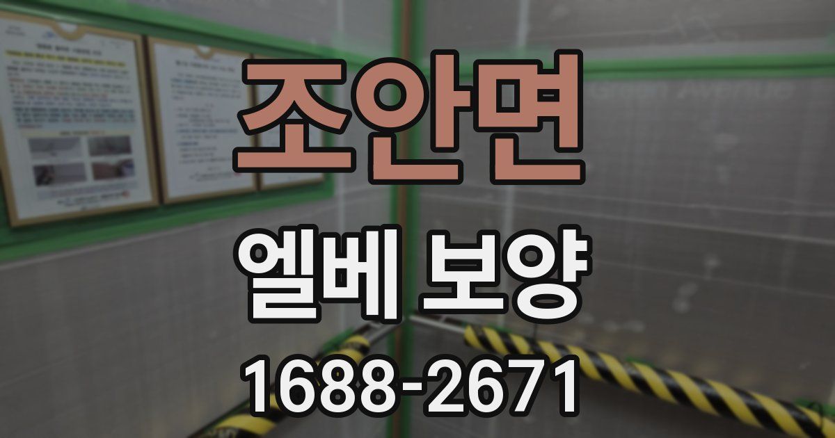 조안면 엘베 보양