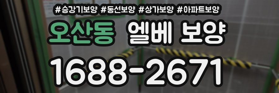 오산동 엘베 보양