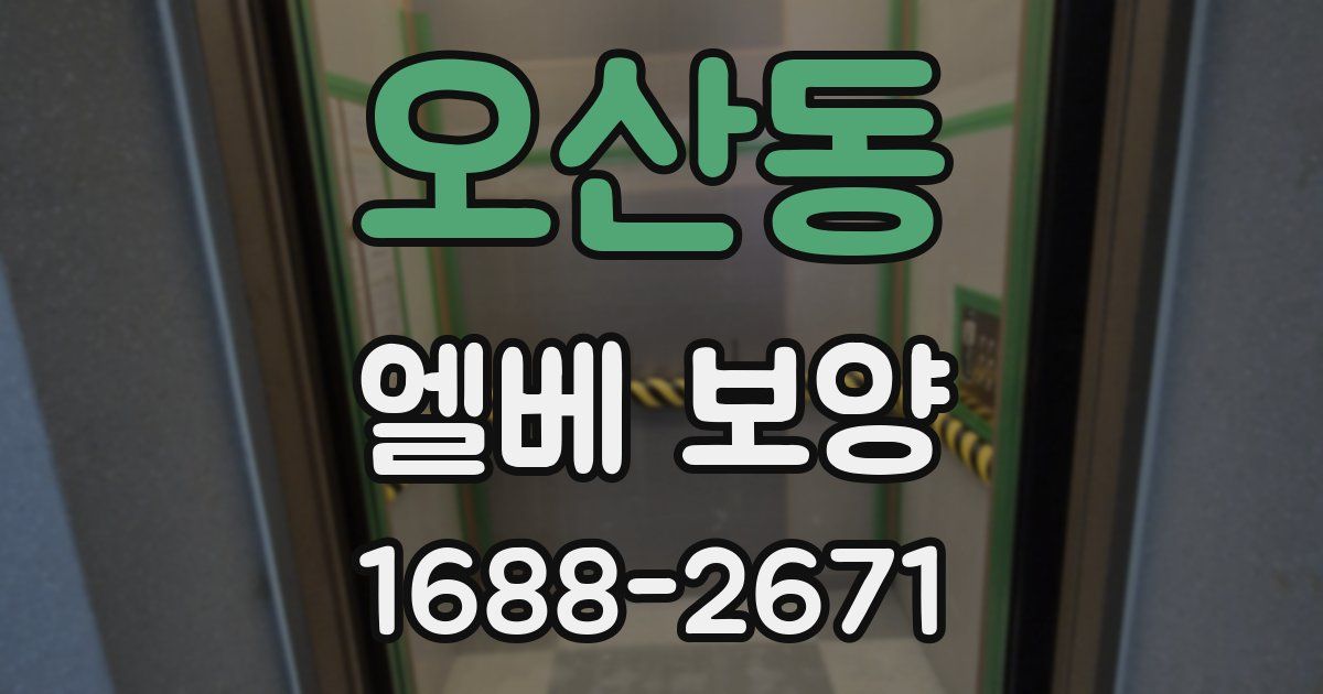 오산동 엘베 보양