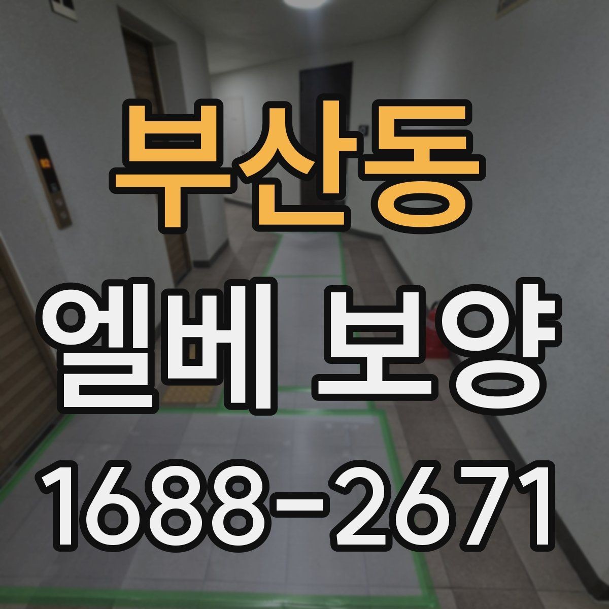 부산동 엘베 보양 계절별 오염 패턴에 맞춘 관리 전략