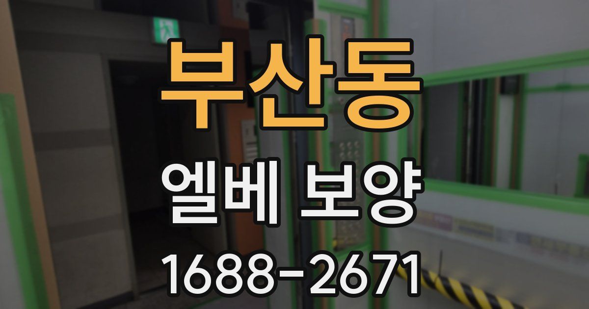 부산동 엘베 보양