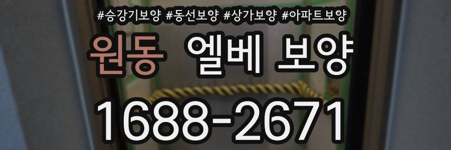 원동 엘베 보양