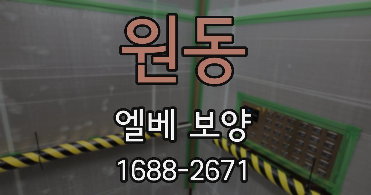 원동 엘베 보양