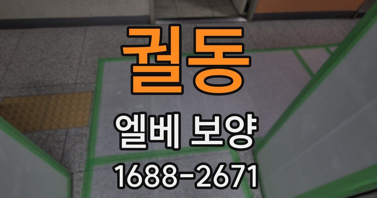 궐동 엘베 보양