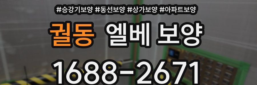 궐동 엘베 보양