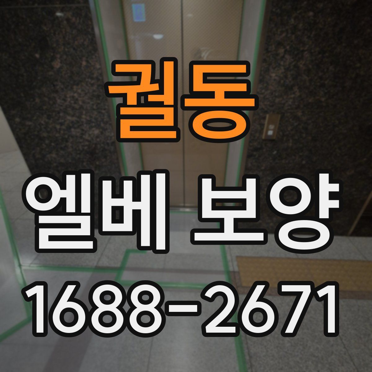 궐동 엘베 보양