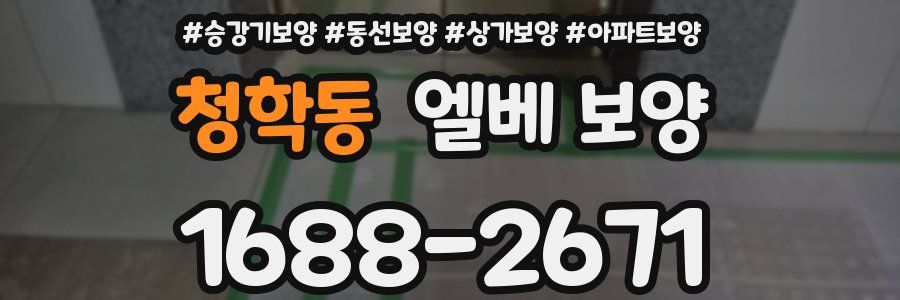 청학동 엘베 보양