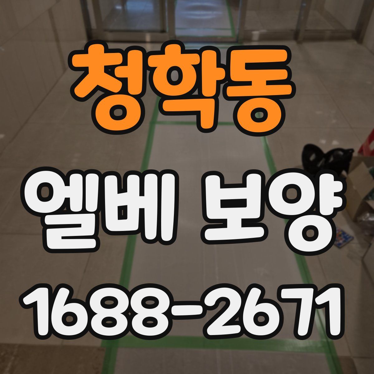 청학동 엘베 보양