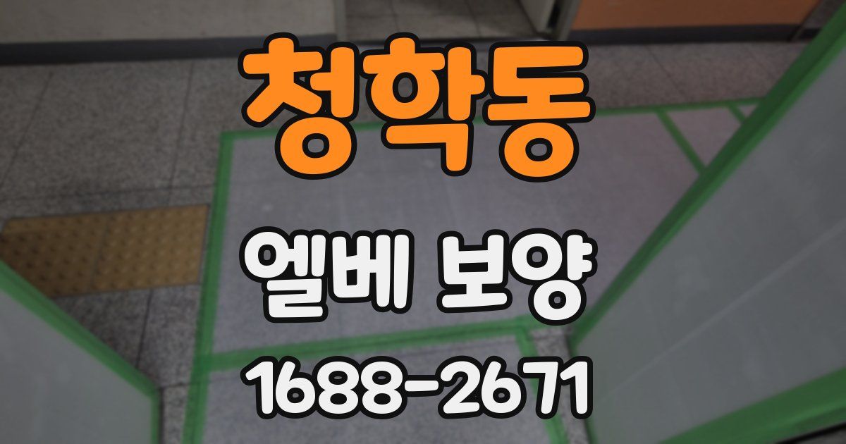 청학동 엘베 보양