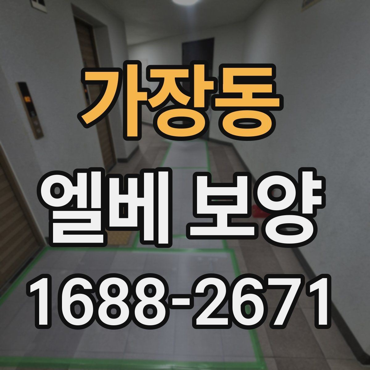 가장동 엘베 보양 유리 패널이 있는 내부에서 볼 점검 항목