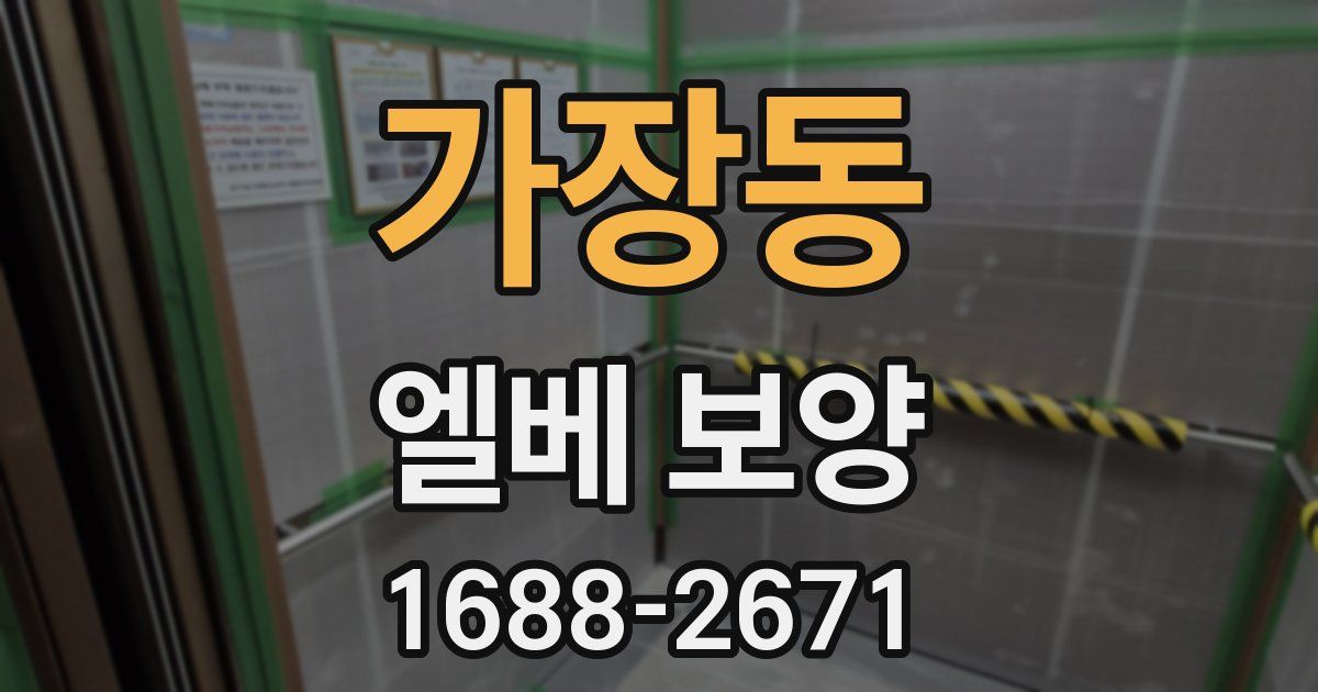 가장동 엘베 보양