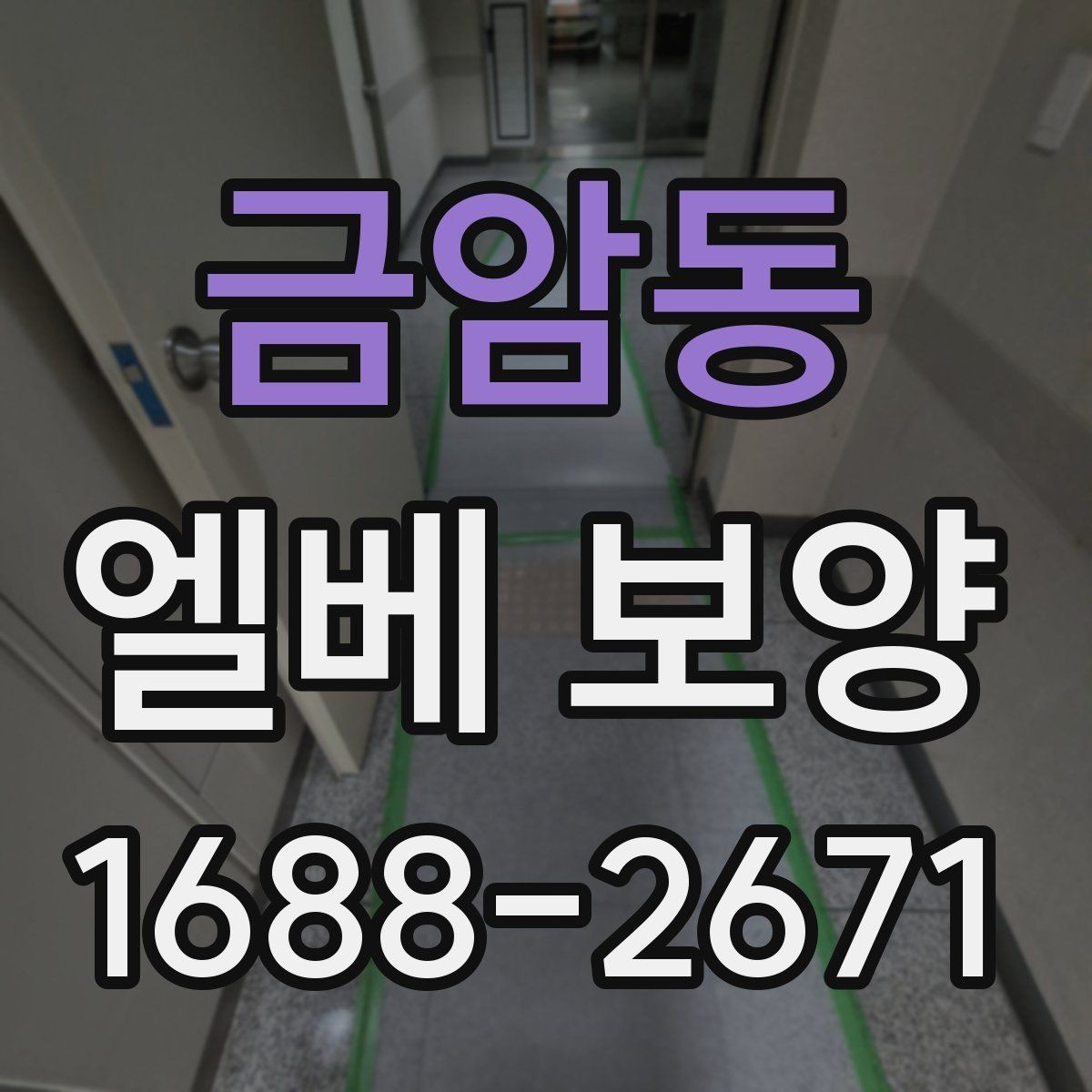 금암동 엘베 보양 대형 이사 현장에 맞는 보호 범위 설정