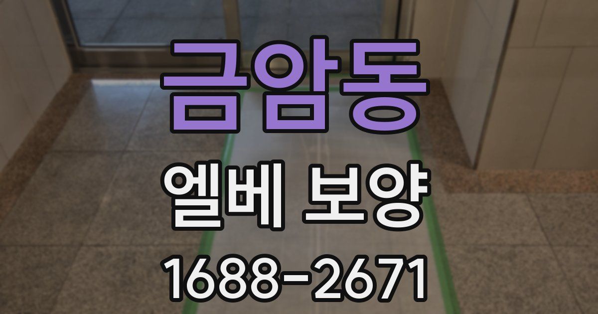 금암동 엘베 보양