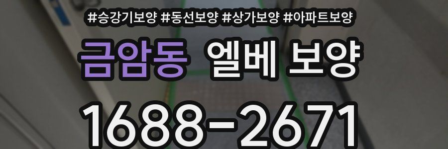 금암동 엘베 보양