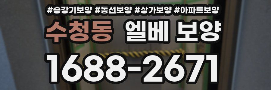 수청동 엘베 보양