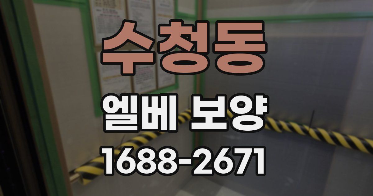 수청동 엘베 보양