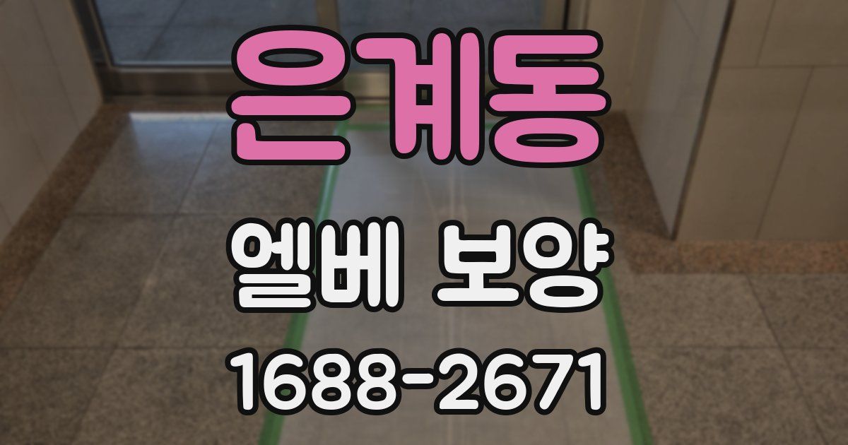 은계동 엘베 보양