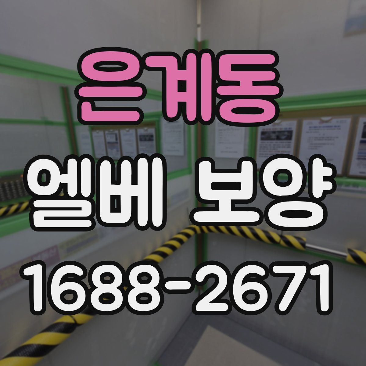 은계동 엘베 보양