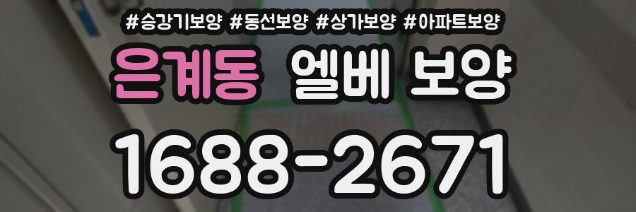 은계동 엘베 보양