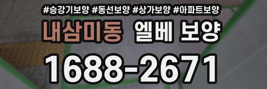 내삼미동 엘베 보양
