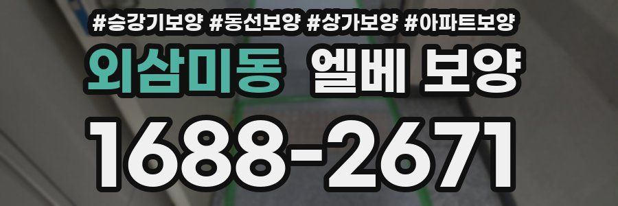 외삼미동 엘베 보양