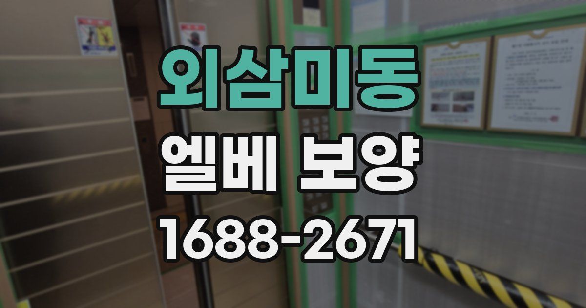 외삼미동 엘베 보양