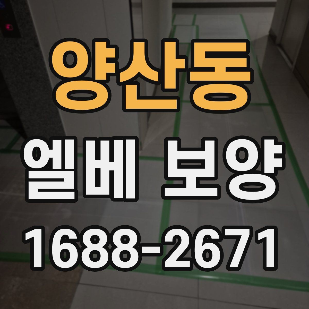 양산동 엘베 보양 바닥 오염 예방과 벽면 보호를 함께 보는 방법