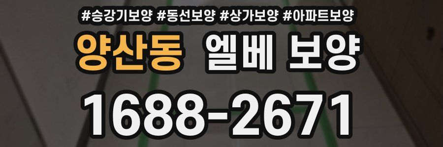 양산동 엘베 보양