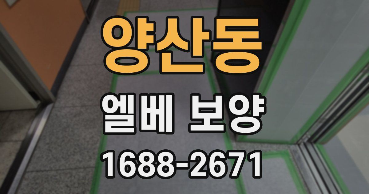 양산동 엘베 보양