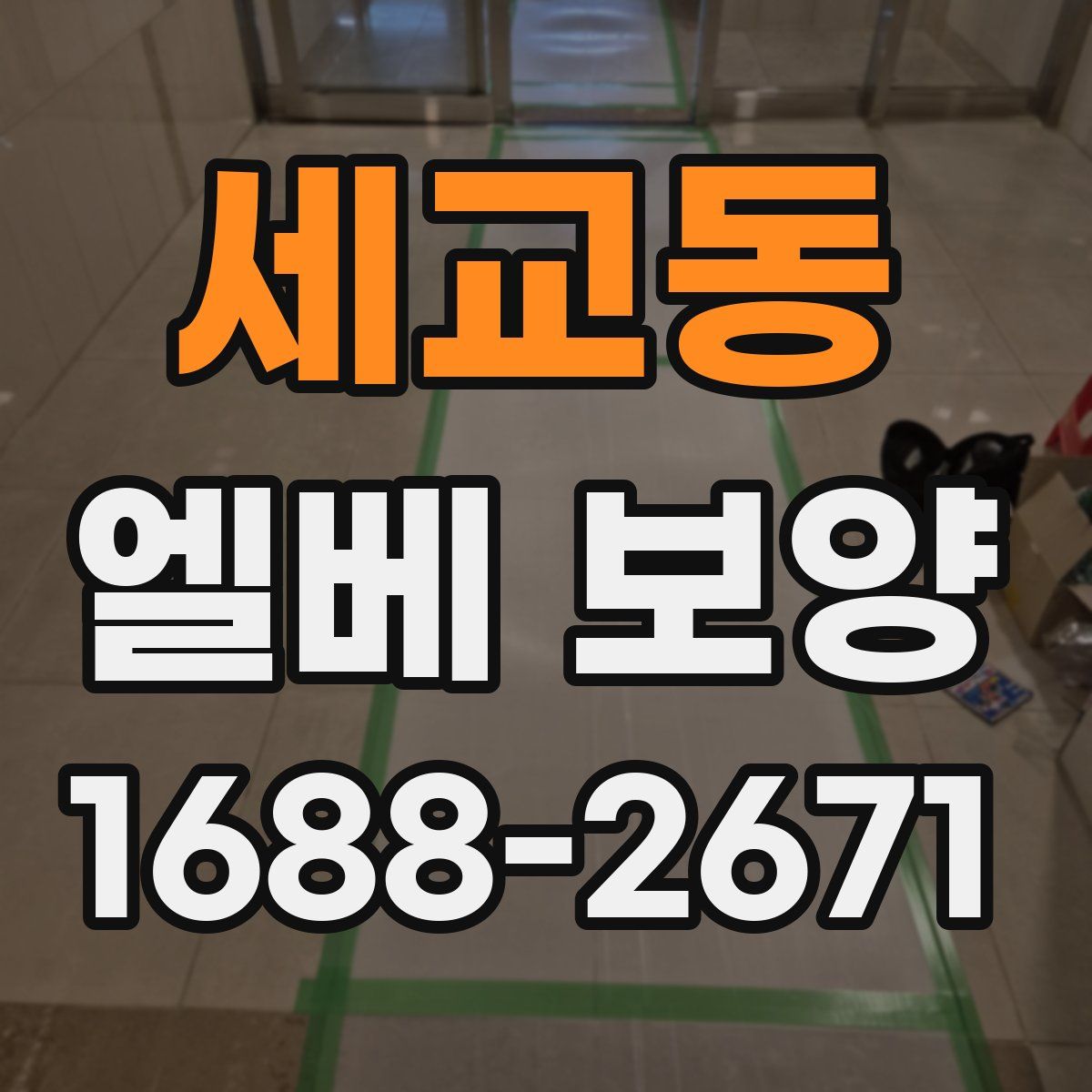 세교동 엘베 보양