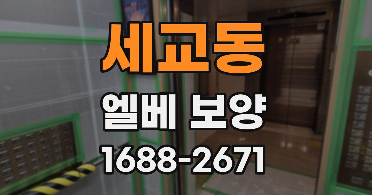 세교동 엘베 보양