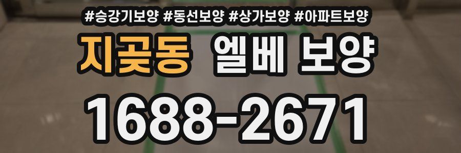 지곶동 엘베 보양