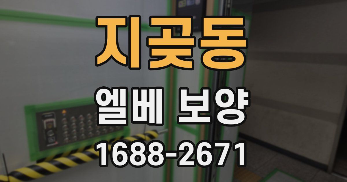 지곶동 엘베 보양