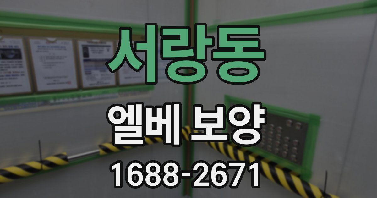 서랑동 엘베 보양
