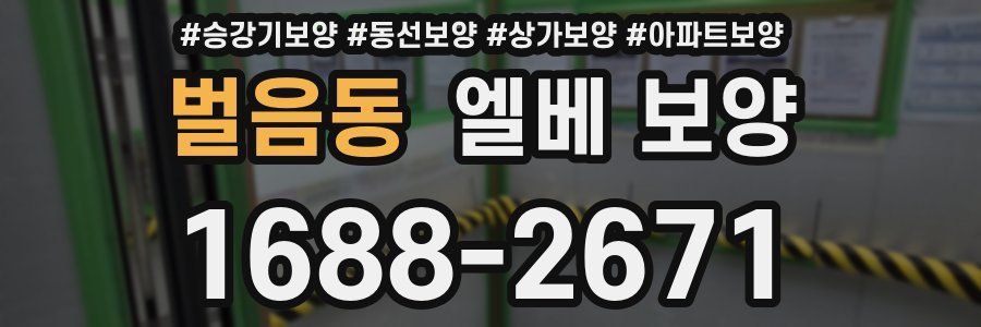 벌음동 엘베 보양