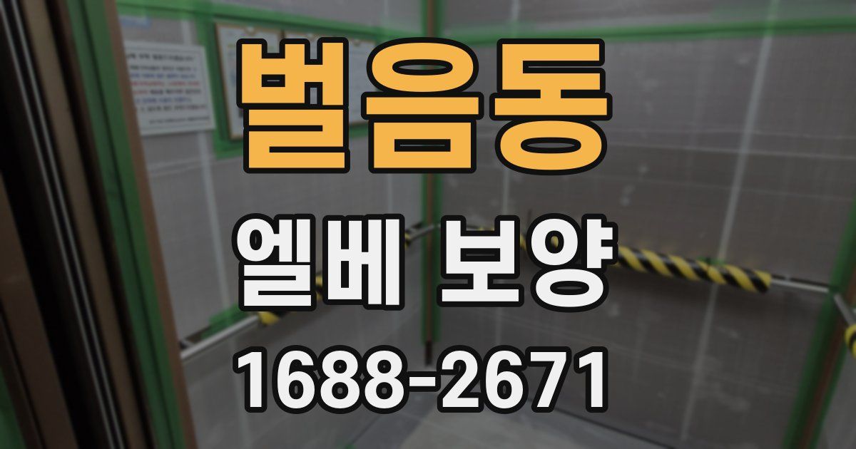 벌음동 엘베 보양
