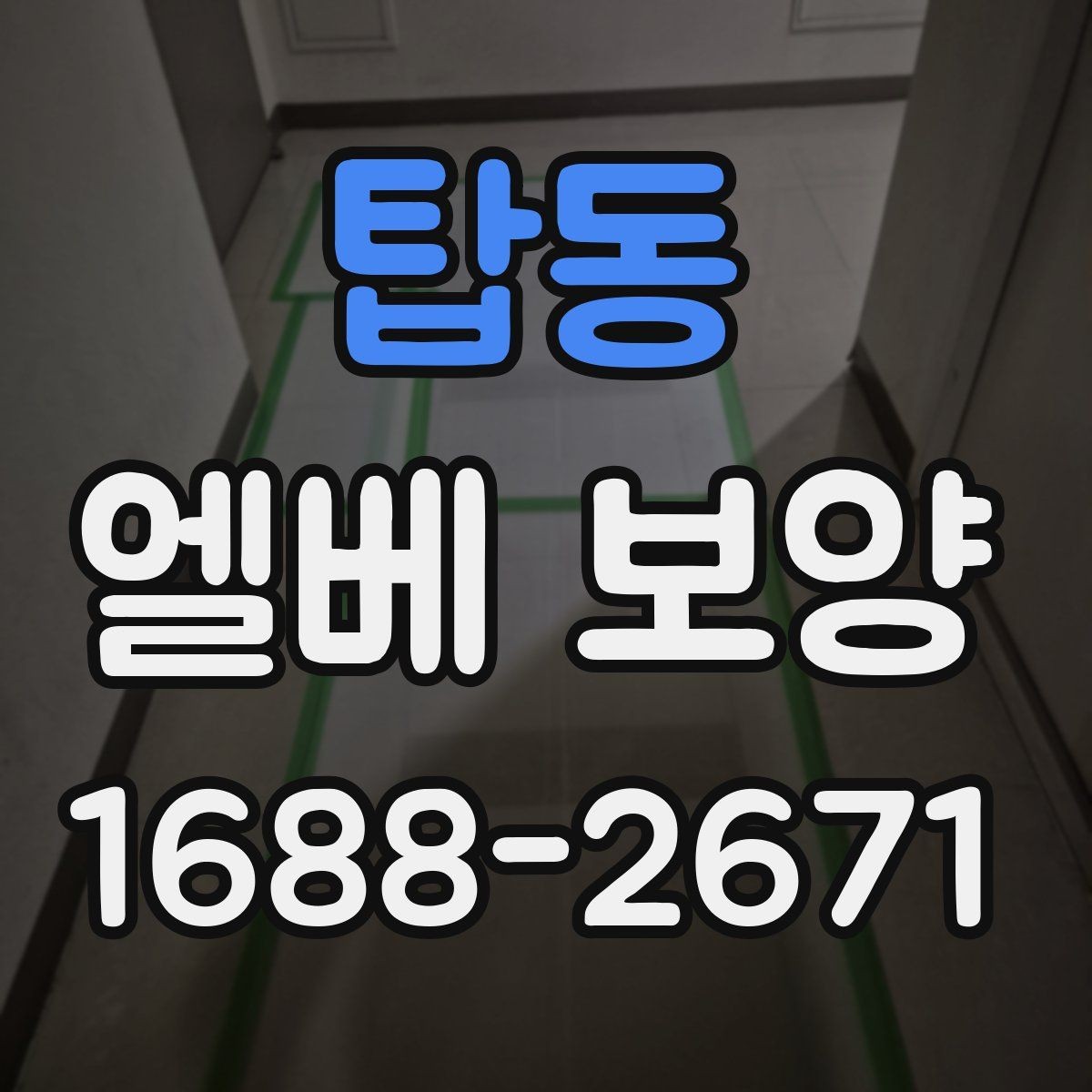 탑동 엘베 보양 입주와 이사 동선이 겹칠 때 운영하는 법