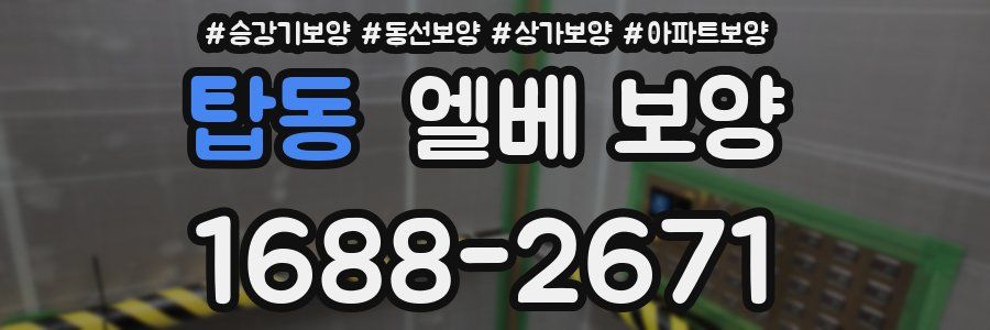탑동 엘베 보양