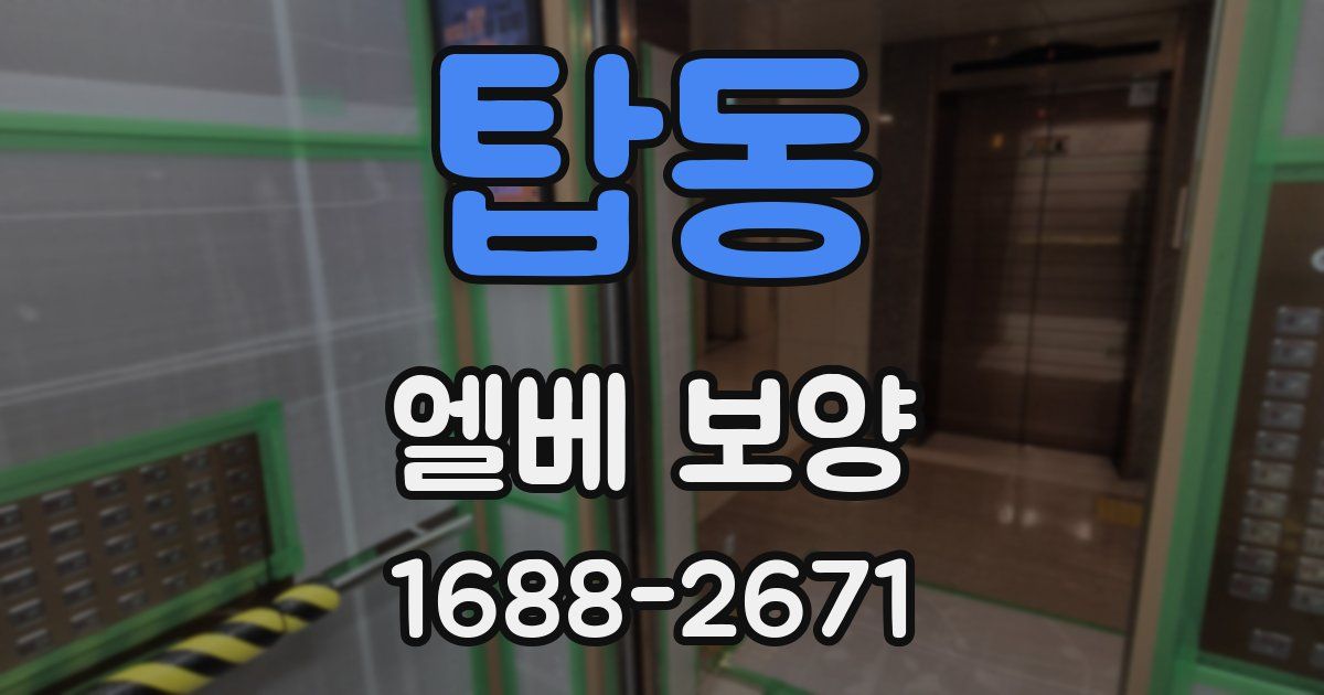 탑동 엘베 보양
