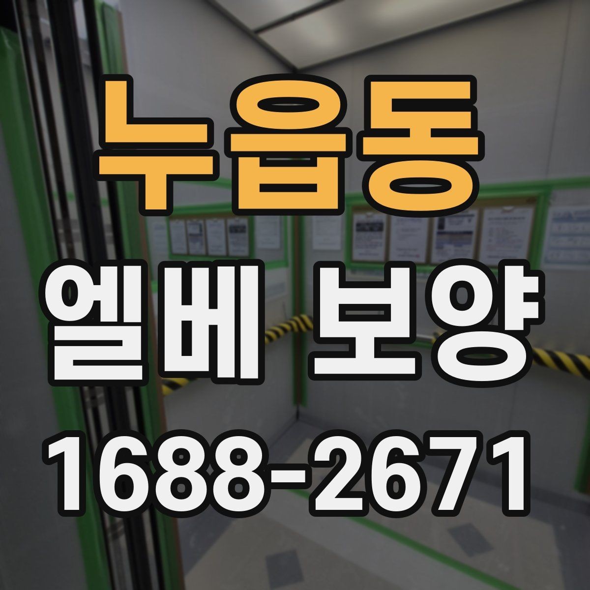 누읍동 엘베 보양 반복 출입 현장에서 빠른 교체가 필요한 이유