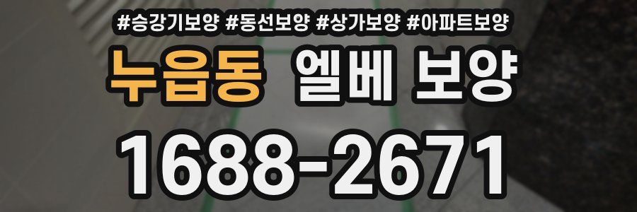 누읍동 엘베 보양