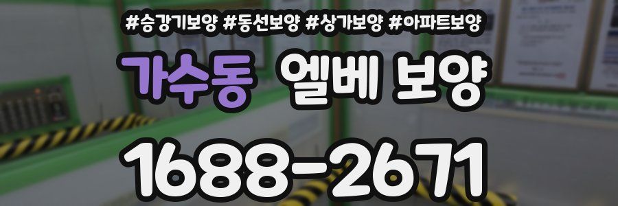 가수동 엘베 보양
