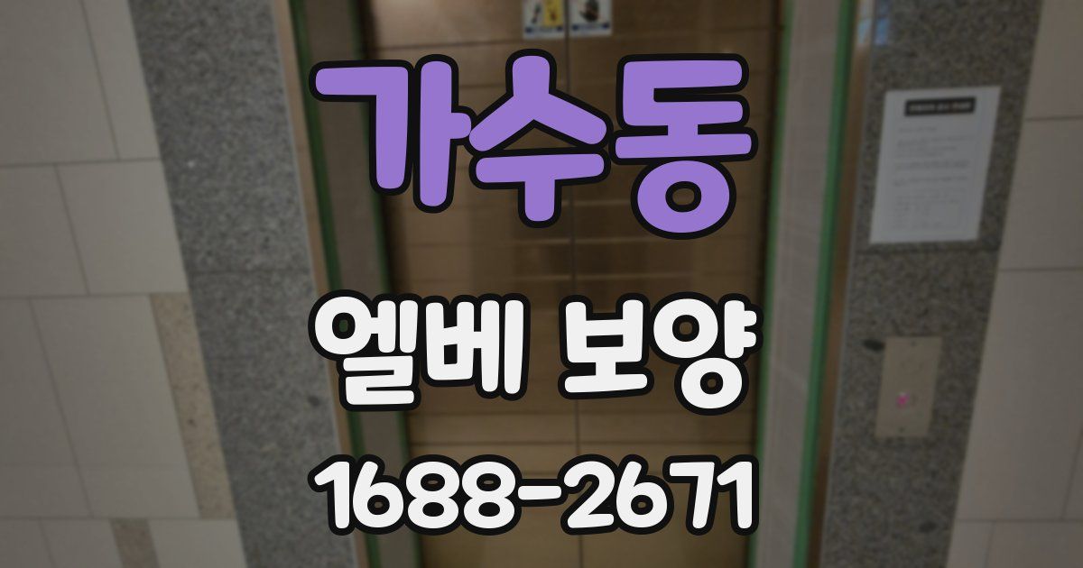 가수동 엘베 보양