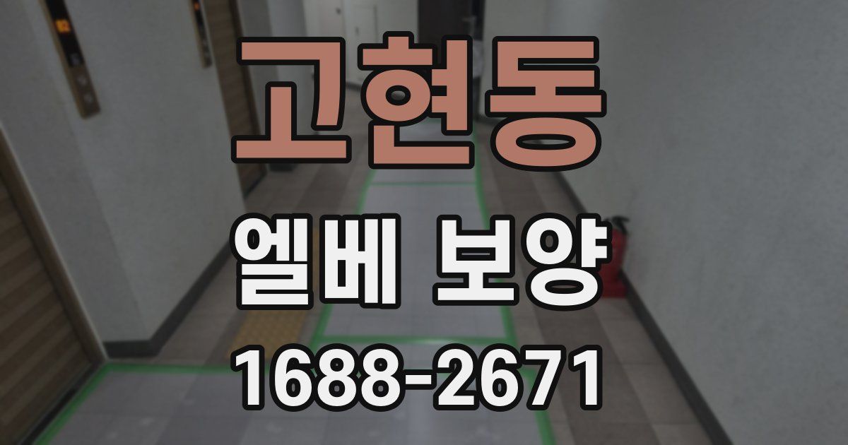 고현동 엘베 보양