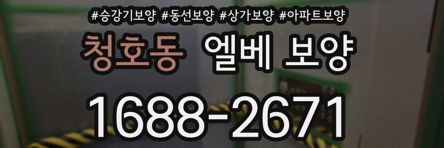 청호동 엘베 보양
