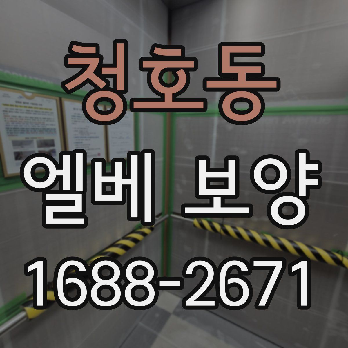 청호동 엘베 보양