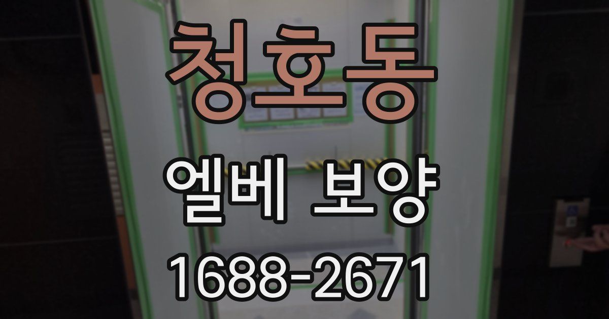 청호동 엘베 보양