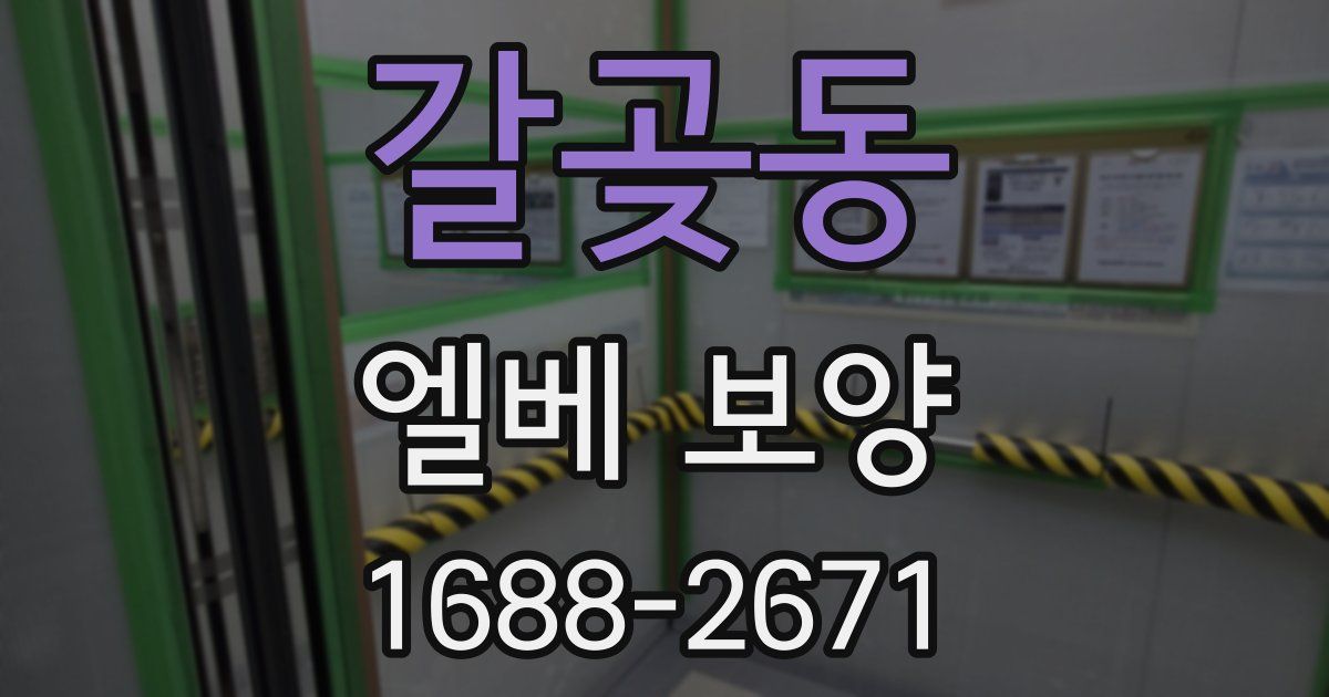 갈곶동 엘베 보양